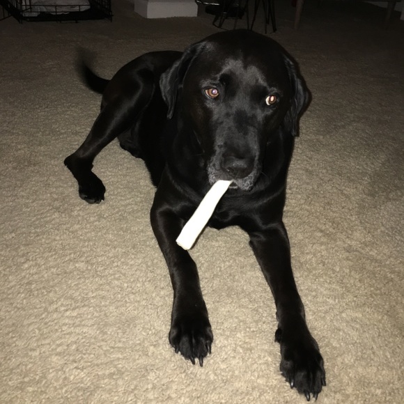 Meet your Posher, David - Picture 1 of 1